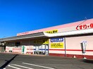 スーパードラッグひまわり川北店(ドラッグストア)まで1314m エーデルヴィラ