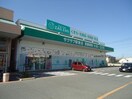 ザグザグ駅家店(ドラッグストア)まで991m ヴィラセジュール
